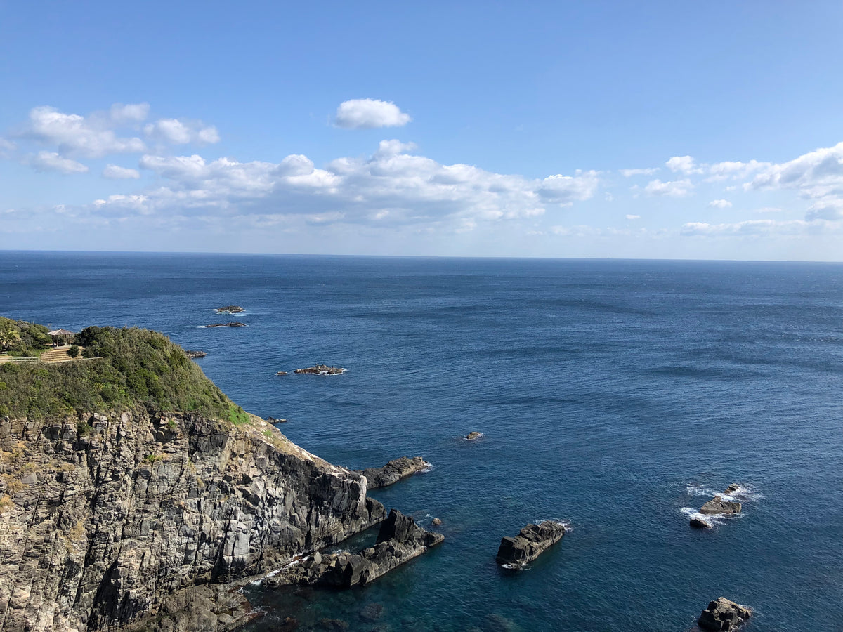 お久しぶり〜釣りに行きた〜い！！！！！